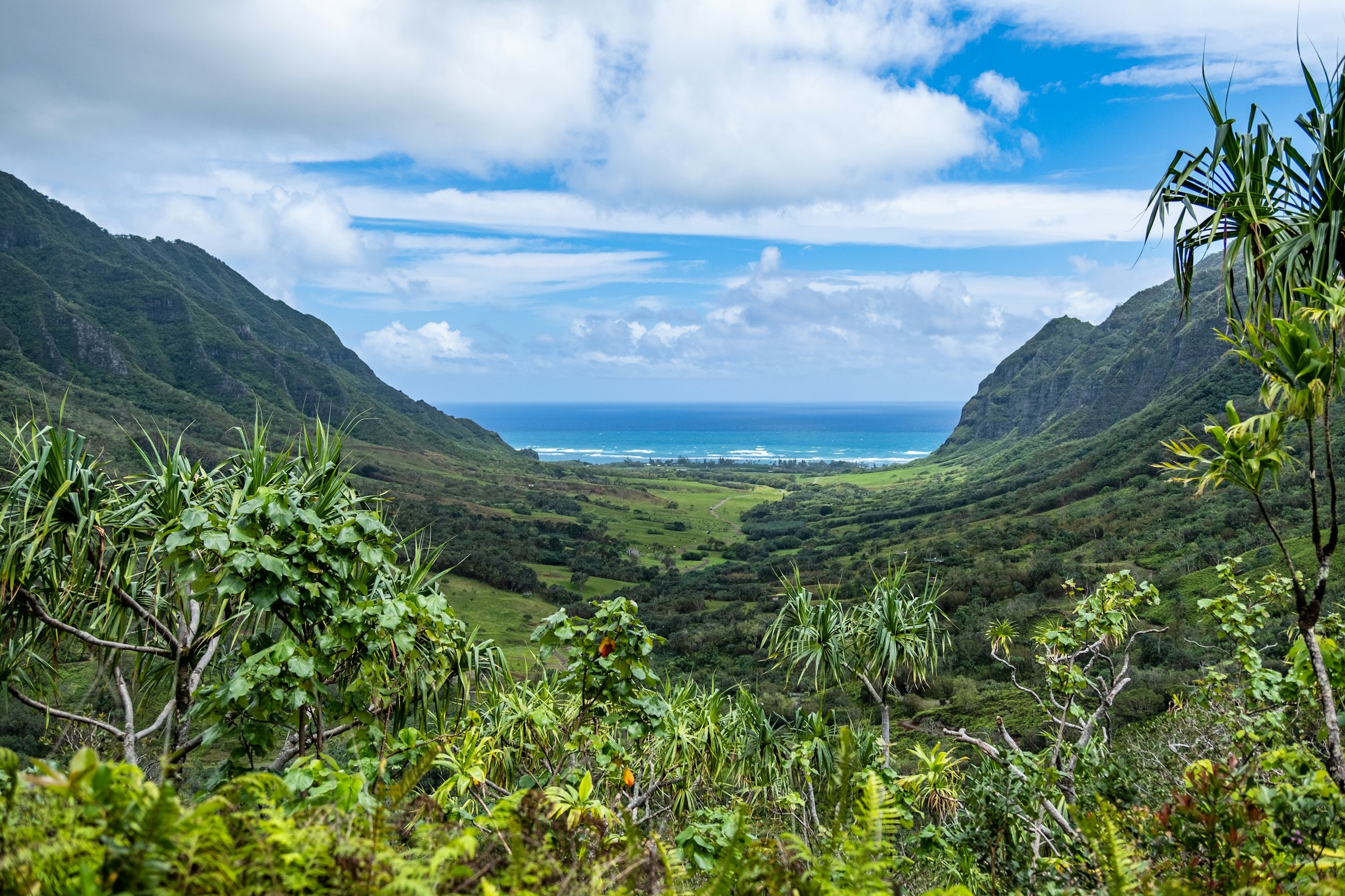 A lush Hawaiian valley opening to the ocean